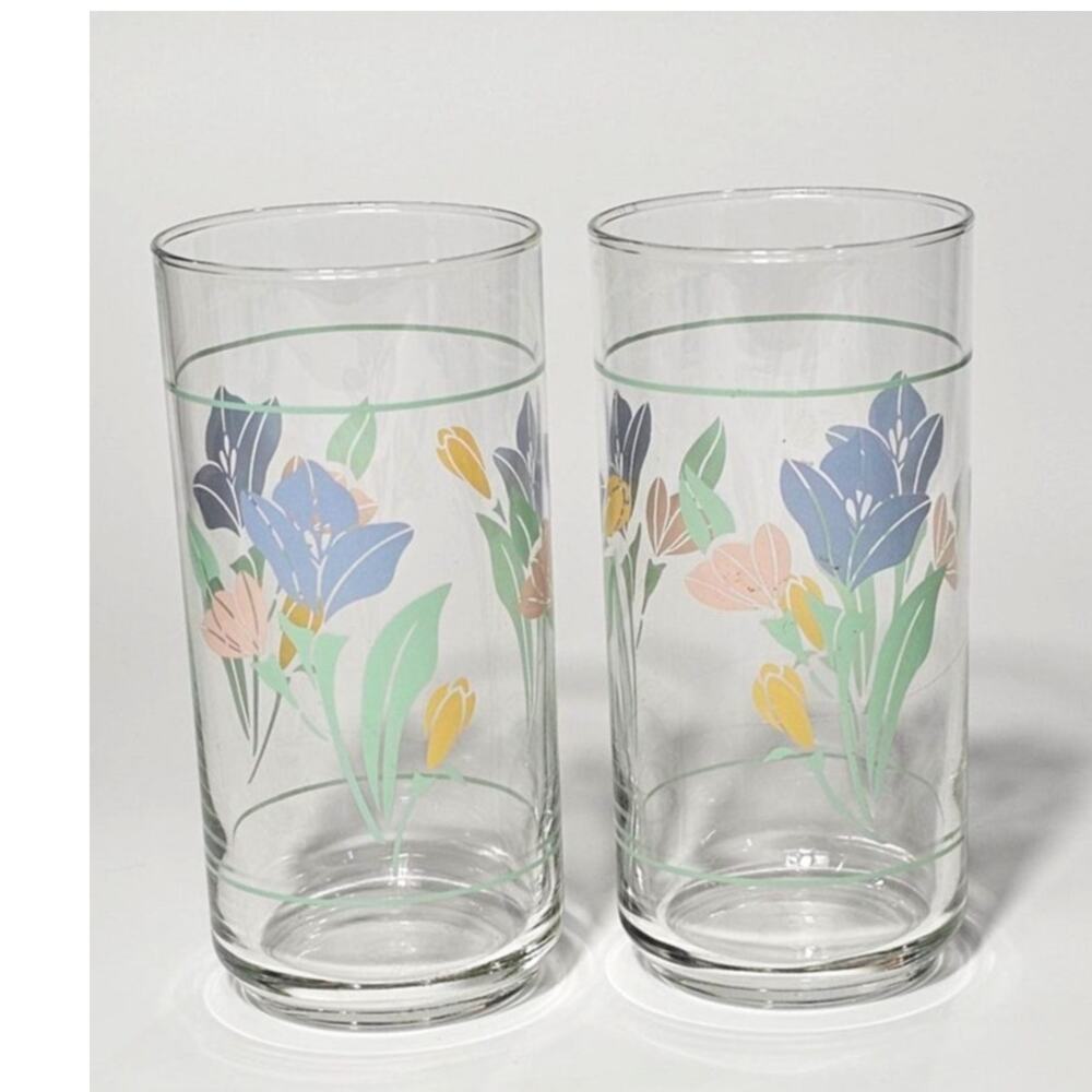 Vintage Pastel Corelle Coordinates Friendship Pattern Crisa Glass Tumblers Set
